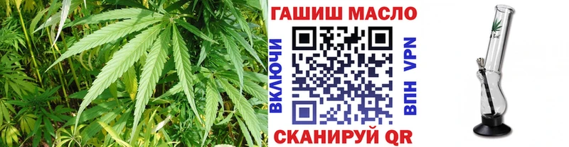 как найти закладки  Терек  ТГК концентрат 