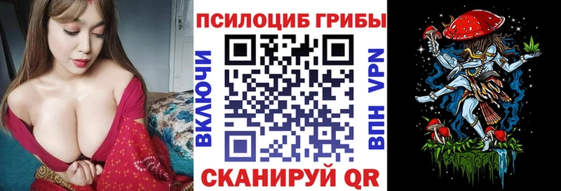Галлюциногенные грибы Psilocybine cubensis  закладки  Терек 
